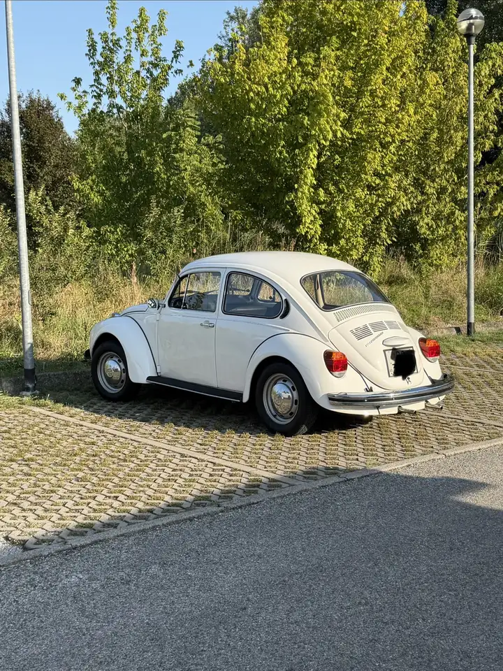 Volkswagen Maggiolino, foto 3