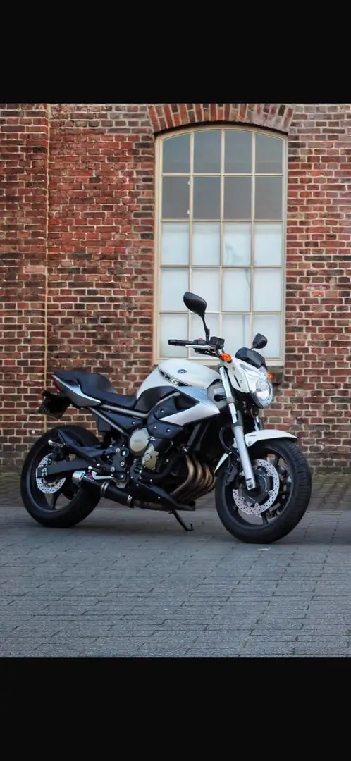 Yamaha XJ 6 A2 motor Wit - 1