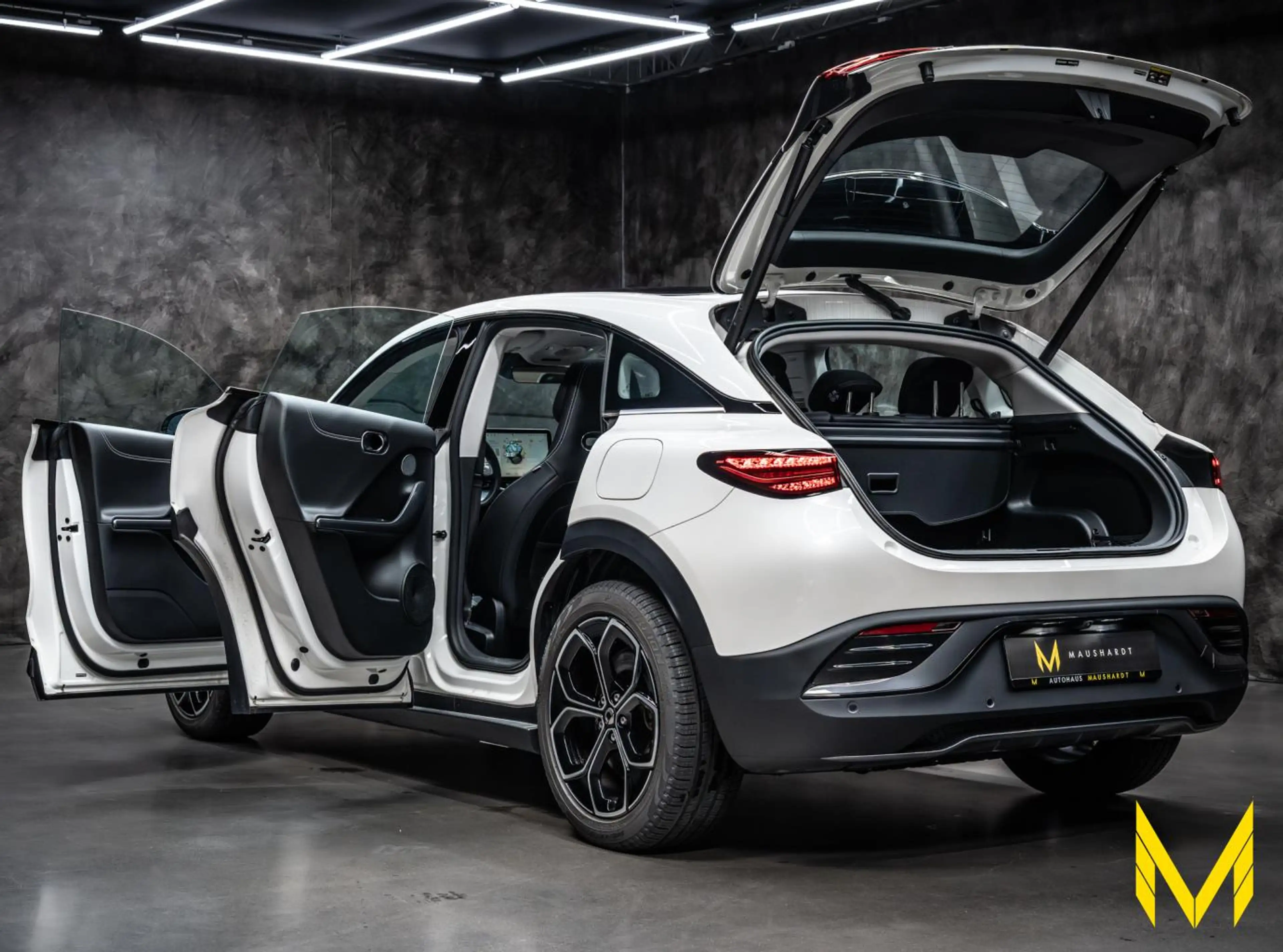 smart #3 PRO #ZERTIFIZIERT! #WARUM? WEIL´S BESSER IST! — photo 8