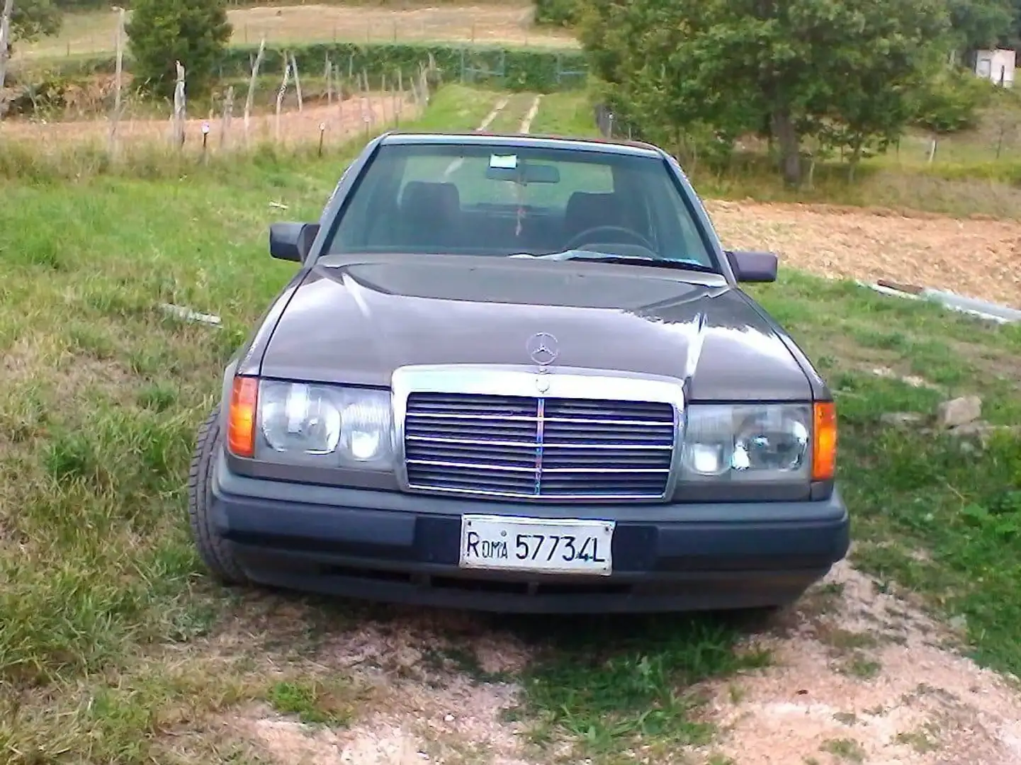 Mercedes-Benz 250 W124 Bronz - 2