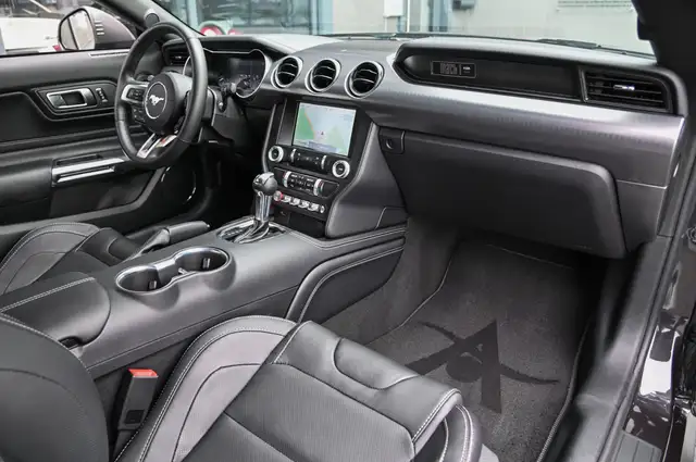 Ford Mustang view 10