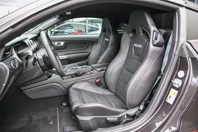 Ford Mustang view 11