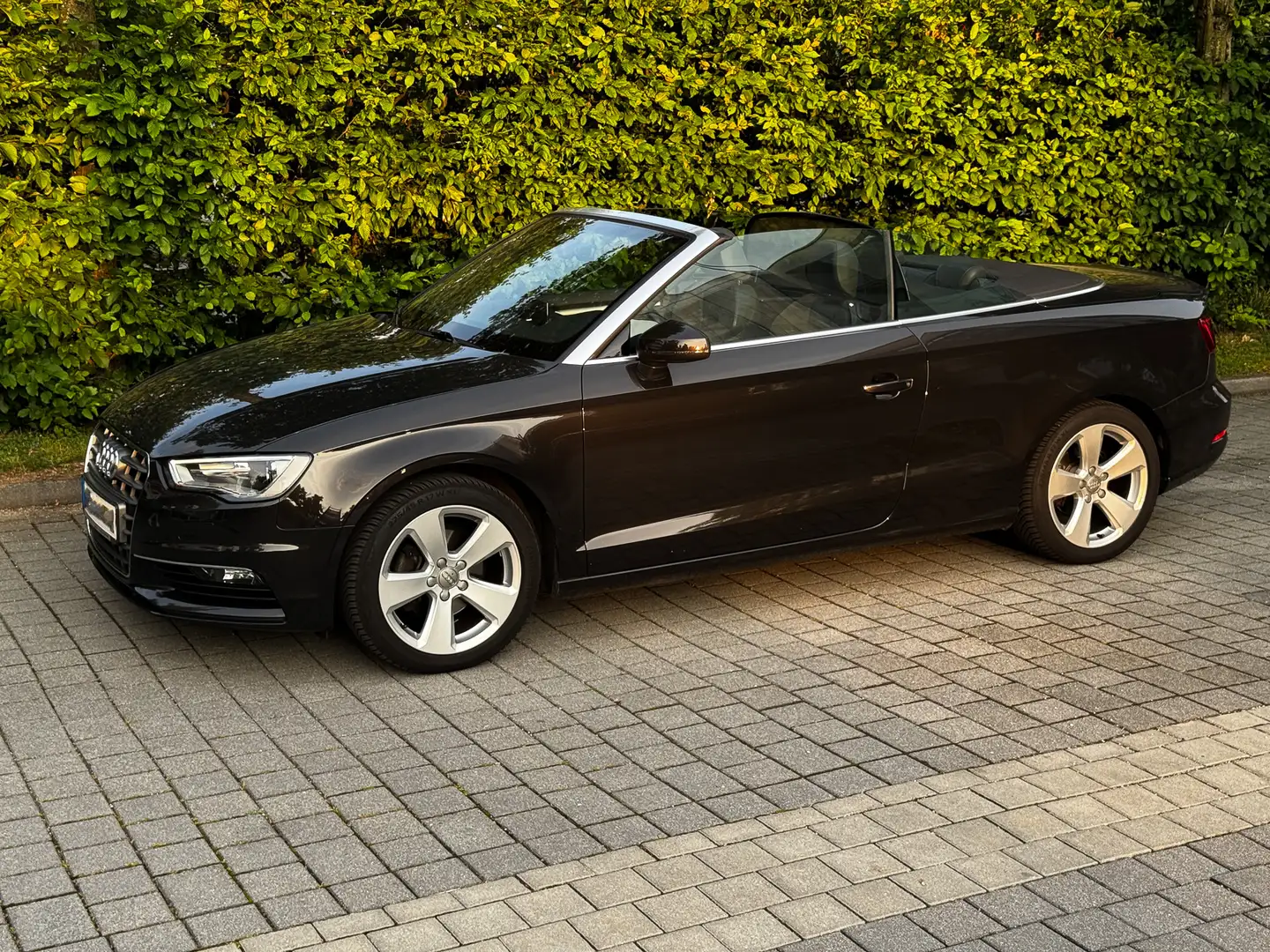 Audi A3 ambition ultra | Xenon | Sportsitze | Navi Brązowy - 1