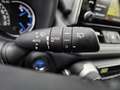 Toyota RAV 4 2.5 Hybrid Business Special Special | Leder | Trek Noir - thumbnail 14