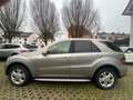 Mercedes-Benz ML 320 ML 320 CDI (164.122), Automatik, Leder beige Gris - thumbnail 7