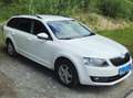 Skoda Octavia Octavia Combi 1,6 Elegance TDI 4x4 Green tec Elegance Weiß - thumbnail 1