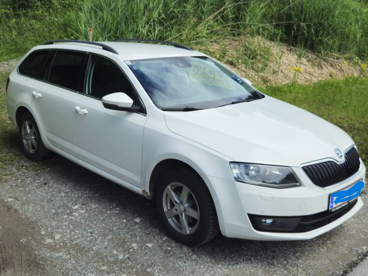 Skoda Octavia Octavia Combi 1,6 Elegance TDI 4x4 Green tec Elegance Weiß - 1