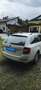 Skoda Octavia Octavia Combi 1,6 Elegance TDI 4x4 Green tec Elegance Weiß - thumbnail 3