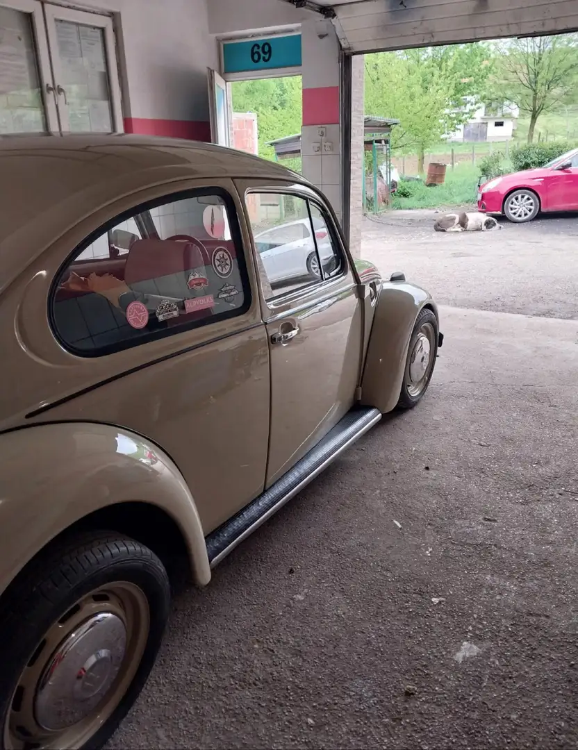 Volkswagen Käfer Bej - 2