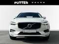 Volvo XC60 D4 Diesel Momentum 18'' Allwetter AHK ACC HUD Rück Blanc - thumbnail 8