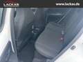 Toyota Aygo X*KLIMA*SITZHEIZUNG* KLIMA*SITZHEIUNG Weiß - thumbnail 17