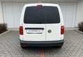Volkswagen Caddy 2.0 TDI Kasten (EURO 6d-TEMP) Weiß - thumbnail 8