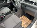 Volkswagen Caddy 2.0 TDI Kasten (EURO 6d-TEMP) Weiß - thumbnail 16