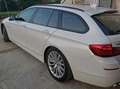 BMW 525 Serie 5 F11 Touring 525d  xdrive Luxury auto E6 Bianco - thumbnail 5