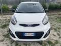 Kia Picanto Picanto 1.0 Easy bi-fuel Bianco - thumbnail 7