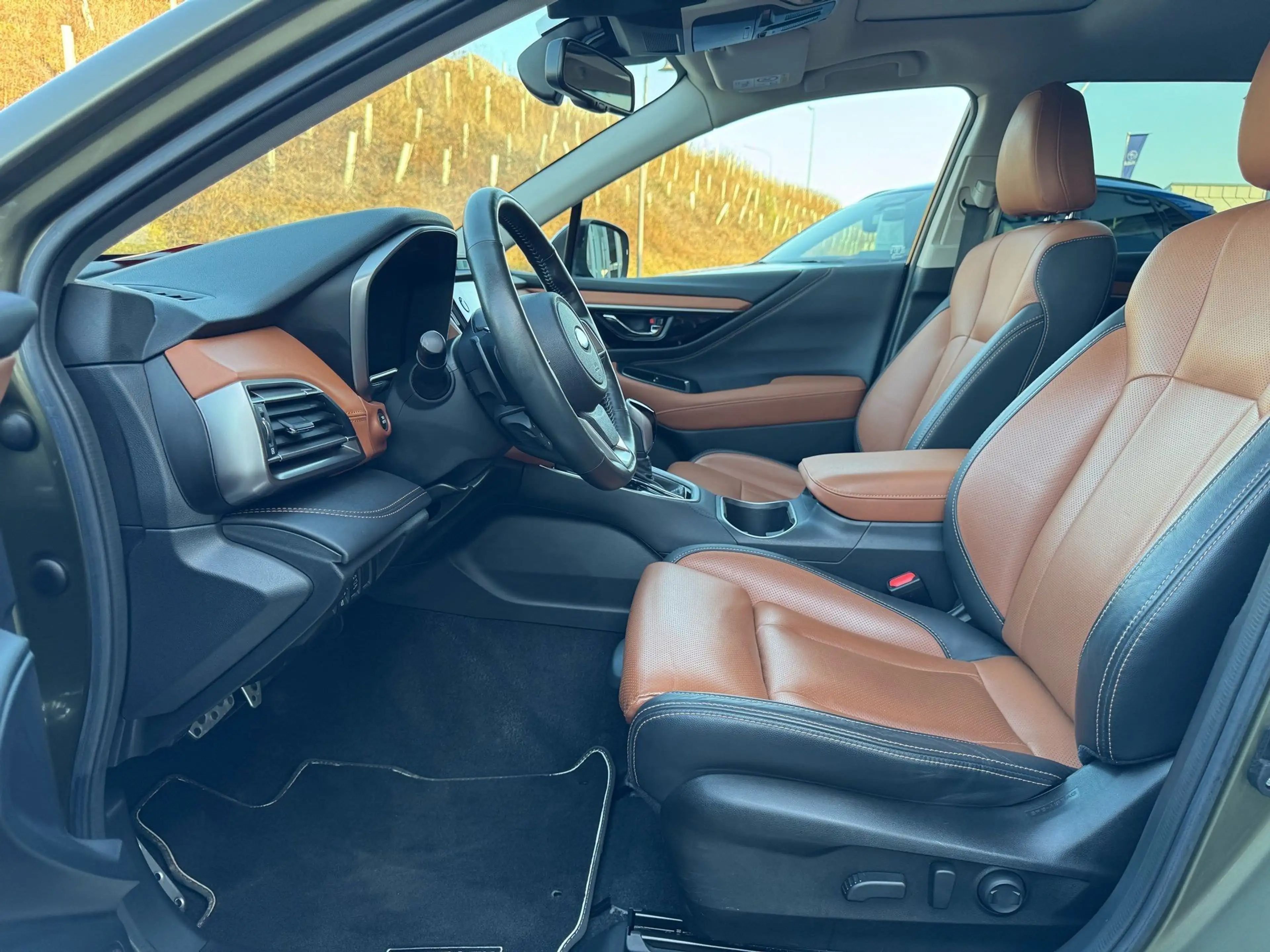 Subaru OUTBACK Platinum — photo 8