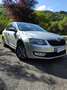 Skoda Octavia Octavia 2.0 TDI 150 ch CR FAP Green Tec Ambition - thumbnail 5