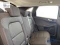 Ford Kuga 2.5 Plug In Hybrid 225 CV CVT 2WD Connect Blu/Azzurro - thumbnail 9