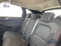 Ford Kuga 2.5 Plug In Hybrid 225 CV CVT 2WD Connect Blu/Azzurro - thumbnail 23