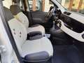 Fiat Panda 1.2 Easy Beige - thumbnail 23