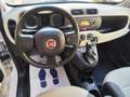 Fiat Panda 1.2 Easy Beige - thumbnail 12