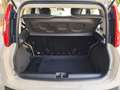 Fiat Panda 1.2 Easy Beige - thumbnail 22