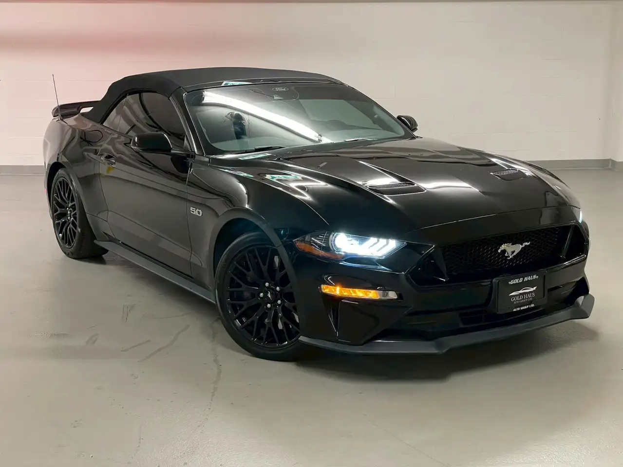 Ford Mustang снимка Ford Mustang