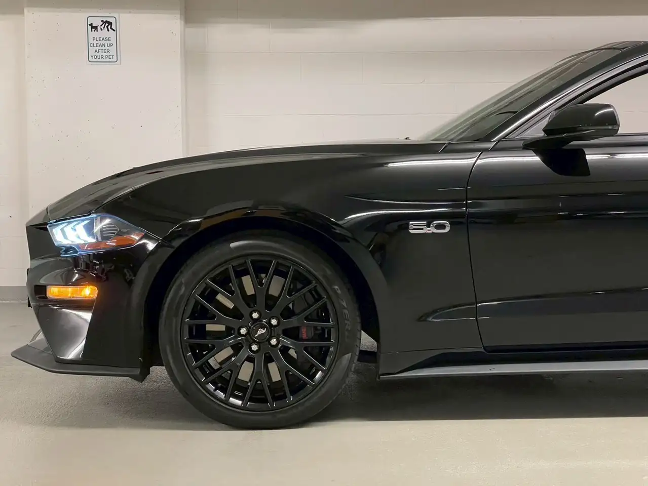 Ford Mustang снимка Ford Mustang