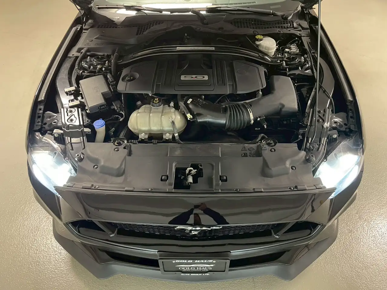 Ford Mustang снимка Ford Mustang
