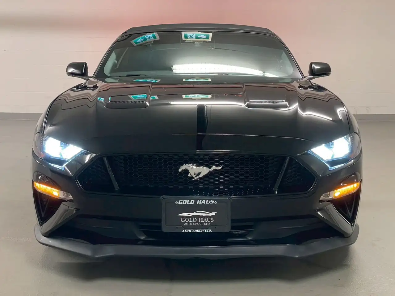 Ford Mustang снимка Ford Mustang