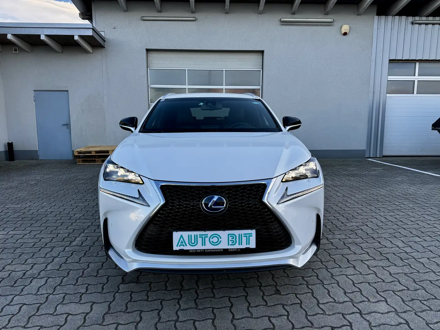 Lexus NX 300h E-FOUR F Sport Head-UP Kamera - 2