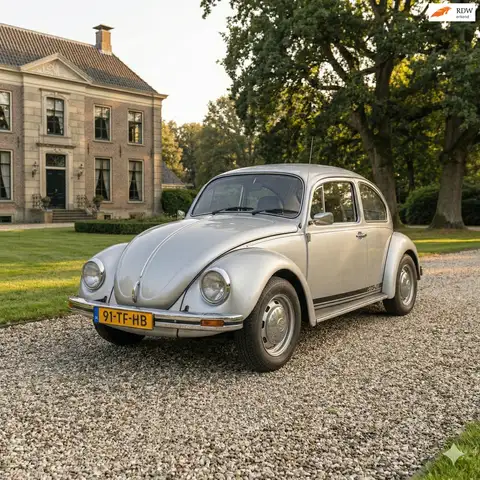 Volkswagen Kever 113141 Silverbug Uniek!