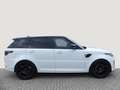 Land Rover Range Rover Sport SVR 575PS Leder Carbon-Motorhaube! StandHZG Keyles Weiß - thumbnail 6