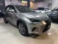 Lexus NX 300h Executive NX 300h HEV Gris - thumbnail 5
