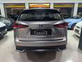 Lexus NX 300h Executive NX 300h HEV Grau - thumbnail 3