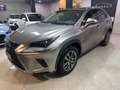 Lexus NX 300h Executive NX 300h HEV Grau - thumbnail 7