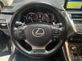 Lexus NX 300h Executive NX 300h HEV Grau - thumbnail 11