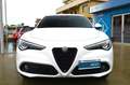 Alfa Romeo Stelvio 2.2 Turbodiesel 160 CV AT8 RWD Sprint Bianco - thumbnail 4