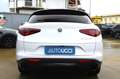 Alfa Romeo Stelvio 2.2 Turbodiesel 160 CV AT8 RWD Sprint Bianco - thumbnail 6