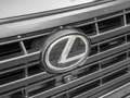 Lexus GX 470 2025 GX 550 Luxury € 101090 +LICHTE VRACHT 2ZIT Negro - thumbnail 35
