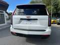Cadillac Escalade ESV Sport Platinum 2026 Wit - thumbnail 37