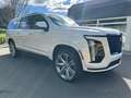 Cadillac Escalade ESV Sport Platinum 2026 Wit - thumbnail 38