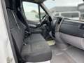 Mercedes-Benz Sprinter 316 BlueTEC Kasten Standard +AHK+PDC Wit - thumbnail 10