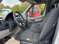 Mercedes-Benz Sprinter 316 BlueTEC Kasten Standard +AHK+PDC Wit - thumbnail 5