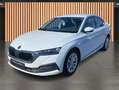 Skoda Octavia 1.0 eTSI DSG Style*Navi*ACC*Kamera*Kessy Weiß - thumbnail 2