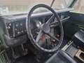 Land Rover Defender Serie 3, 2.6 ltr, benzine, met werk, zeldzaam, net Verde - thumbnail 9