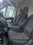 Fiat Ducato 2.0 Multijet L Wit - thumbnail 6
