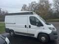 Fiat Ducato 2.0 Multijet L Wit - thumbnail 3