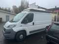 Fiat Ducato 2.0 Multijet L Wit - thumbnail 2