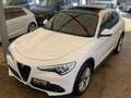 Alfa Romeo Stelvio Stelvio executive Q4 210cv tetto full Bianco - thumbnail 3